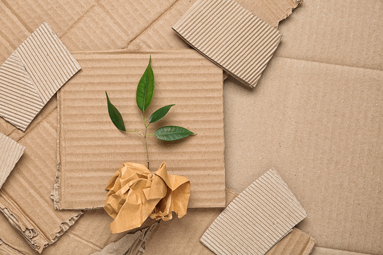 How Your Packaging Can Make an Impact